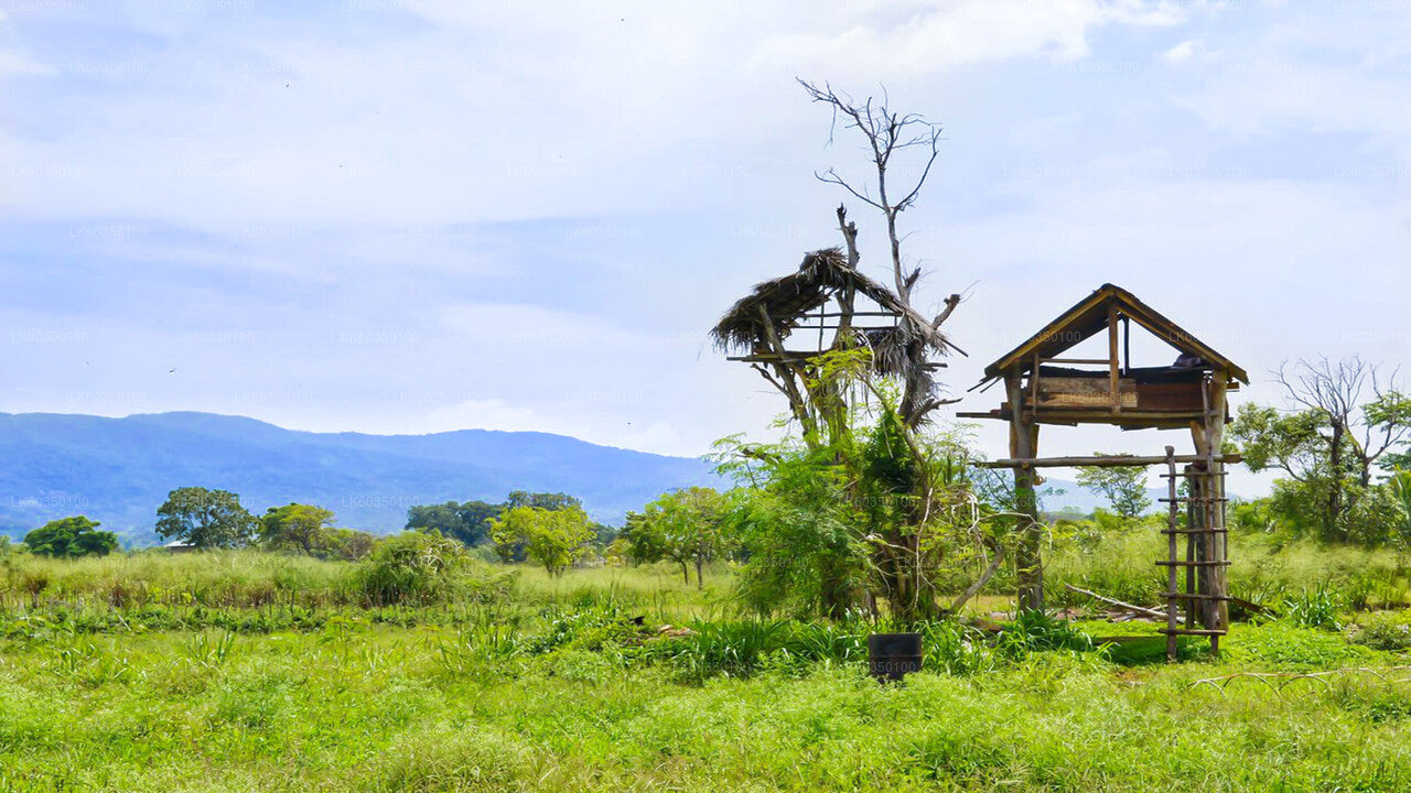 Dorferlebnis von Tissamaharama