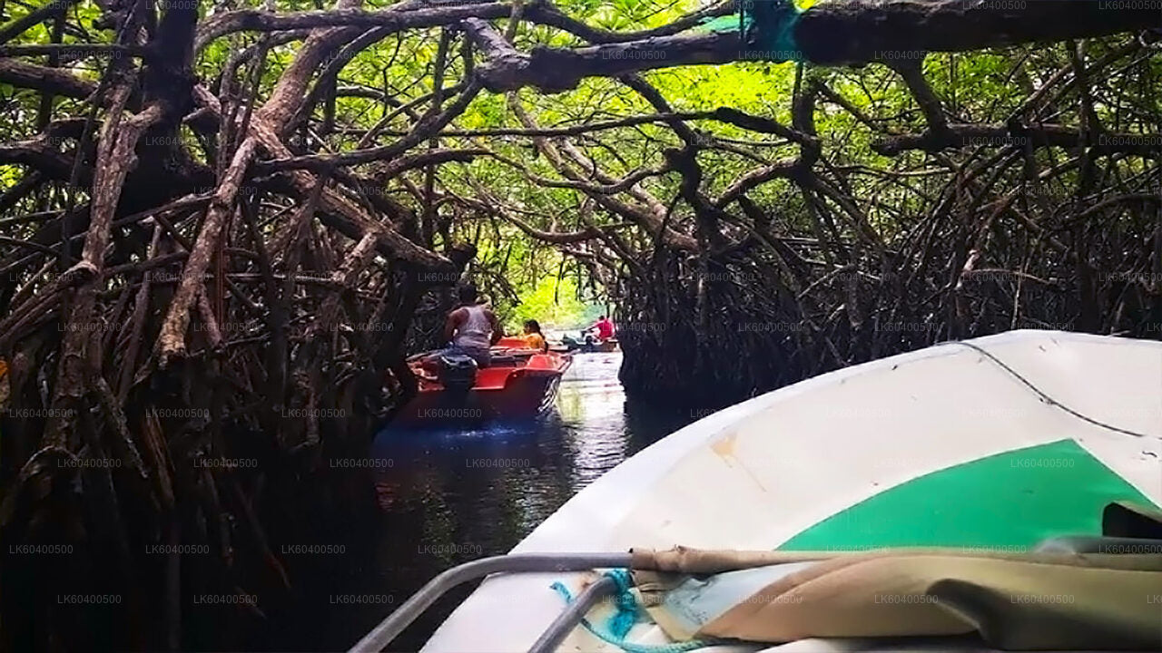 Höhepunkte der Südküste und Flusssafari ab Ahungalla