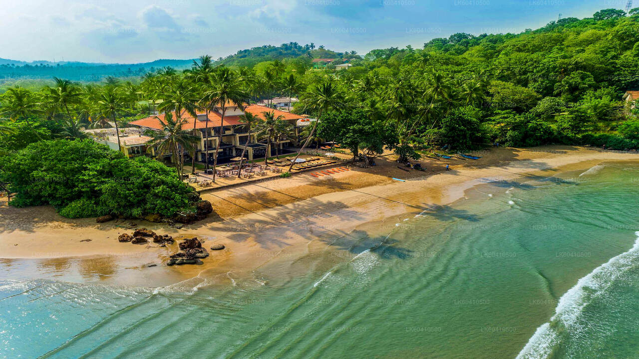 Highlights der Südküste von Unawatuna