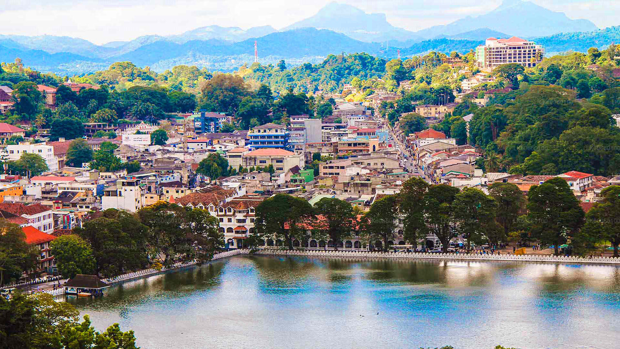 Kandy-Stadtrundfahrt ab Mount Lavinia