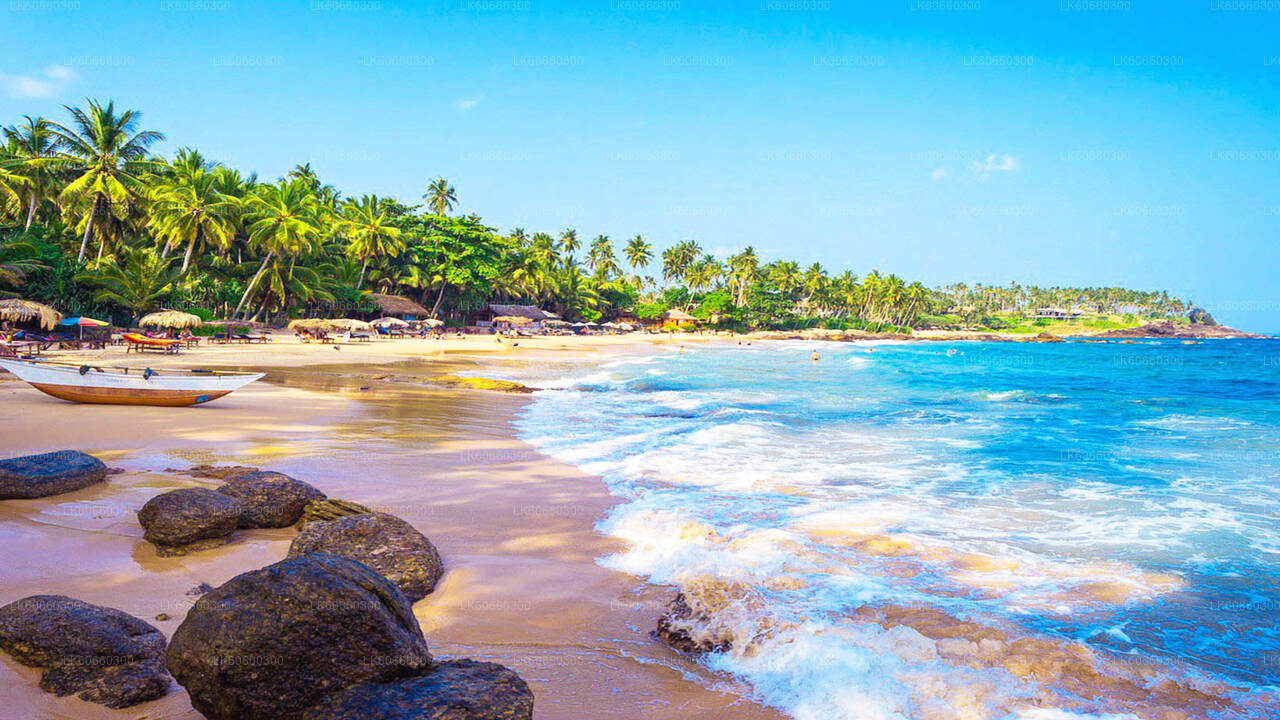 Küstenfahrt nach Galle von Mount Lavinia