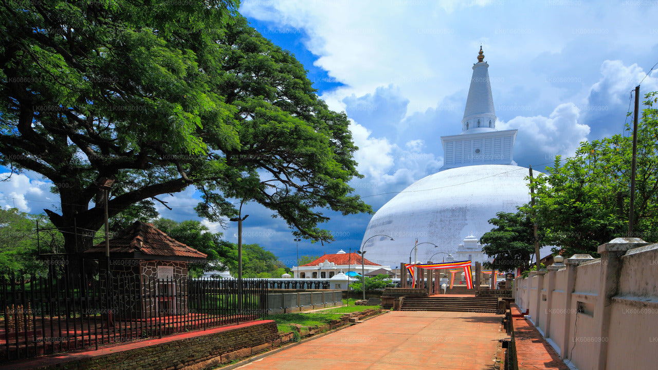Heilige Stadt Anuradhapura vom Mount Lavinia aus