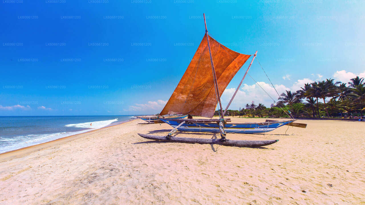 Negombo-Stadtrundfahrt ab Mount Lavinia