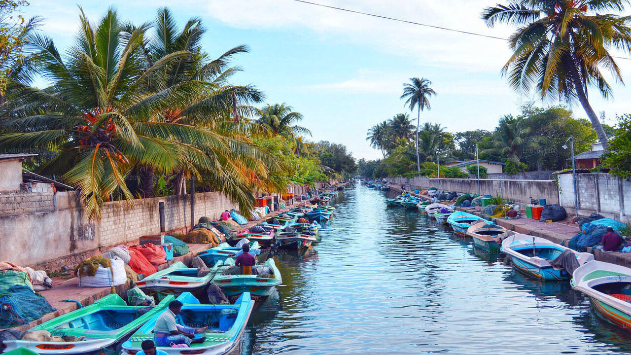 Negombo-Stadtrundfahrt ab Mount Lavinia
