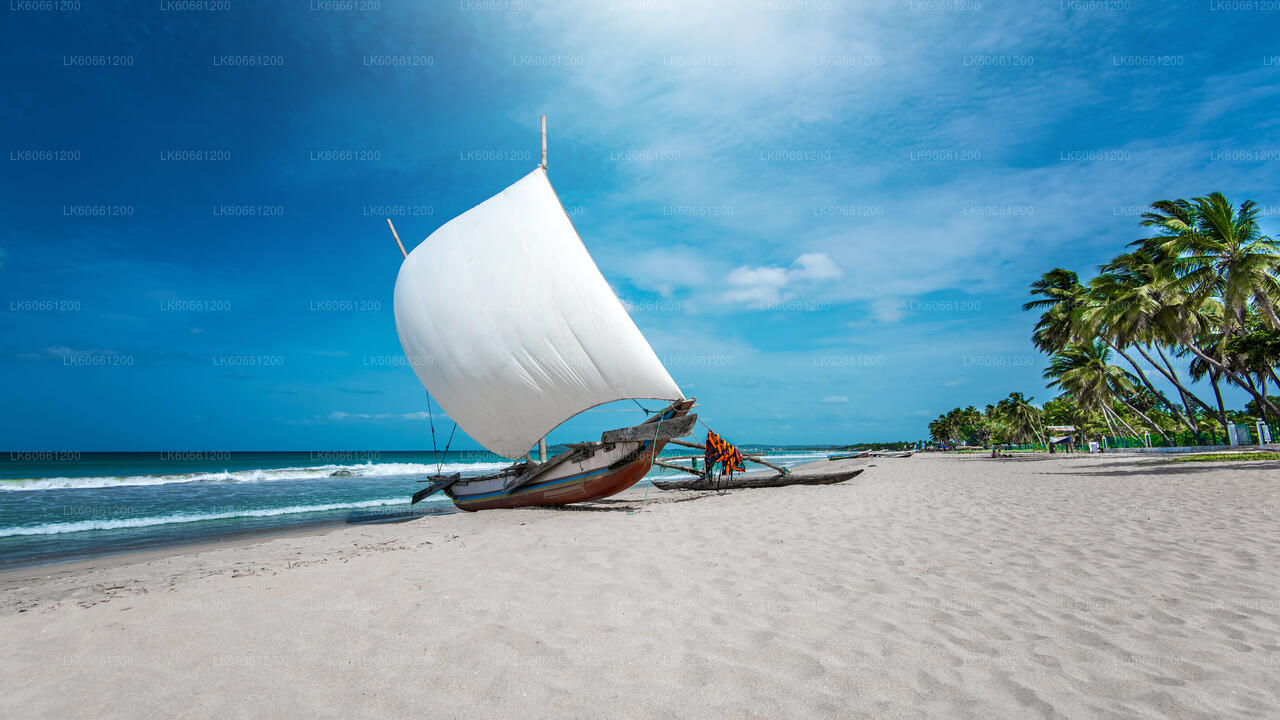 Negombo-Stadtrundfahrt ab Mount Lavinia