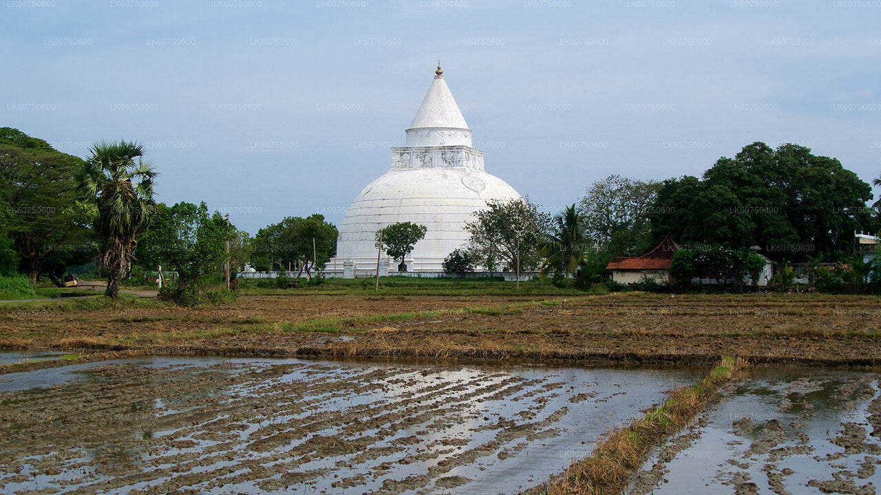 Lauftour zum antiken Tempel ab Mattala