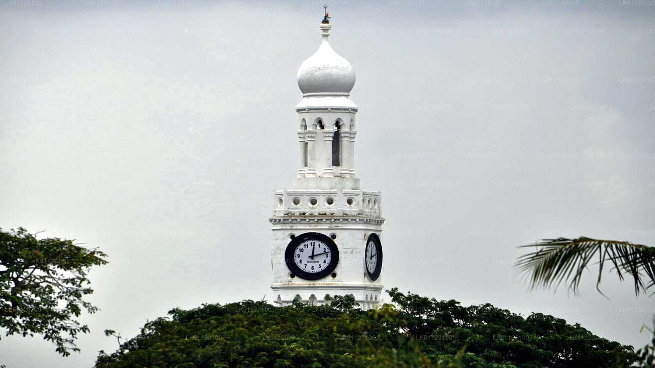 Stadtrundfahrt durch Jaffna