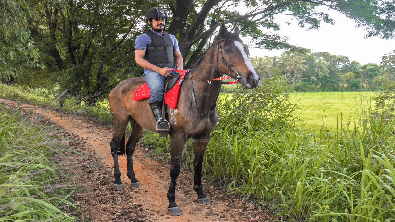Ausritt zu Pferd durch ein Dorf von Habarana aus