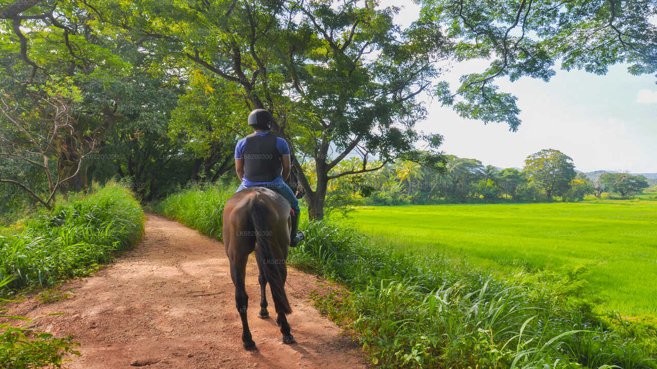 Ausritt durch ein Dorf ab Sigiriya
