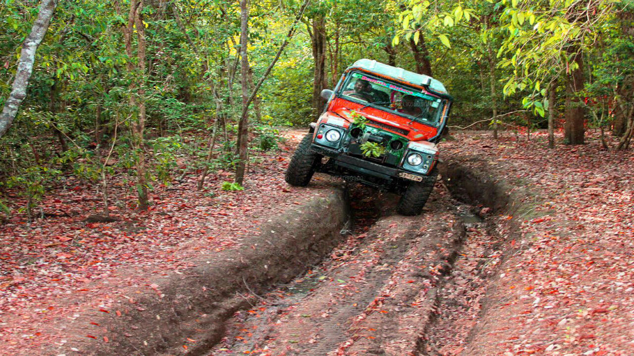 4WD-Tour von Ella zur Arugam Bay