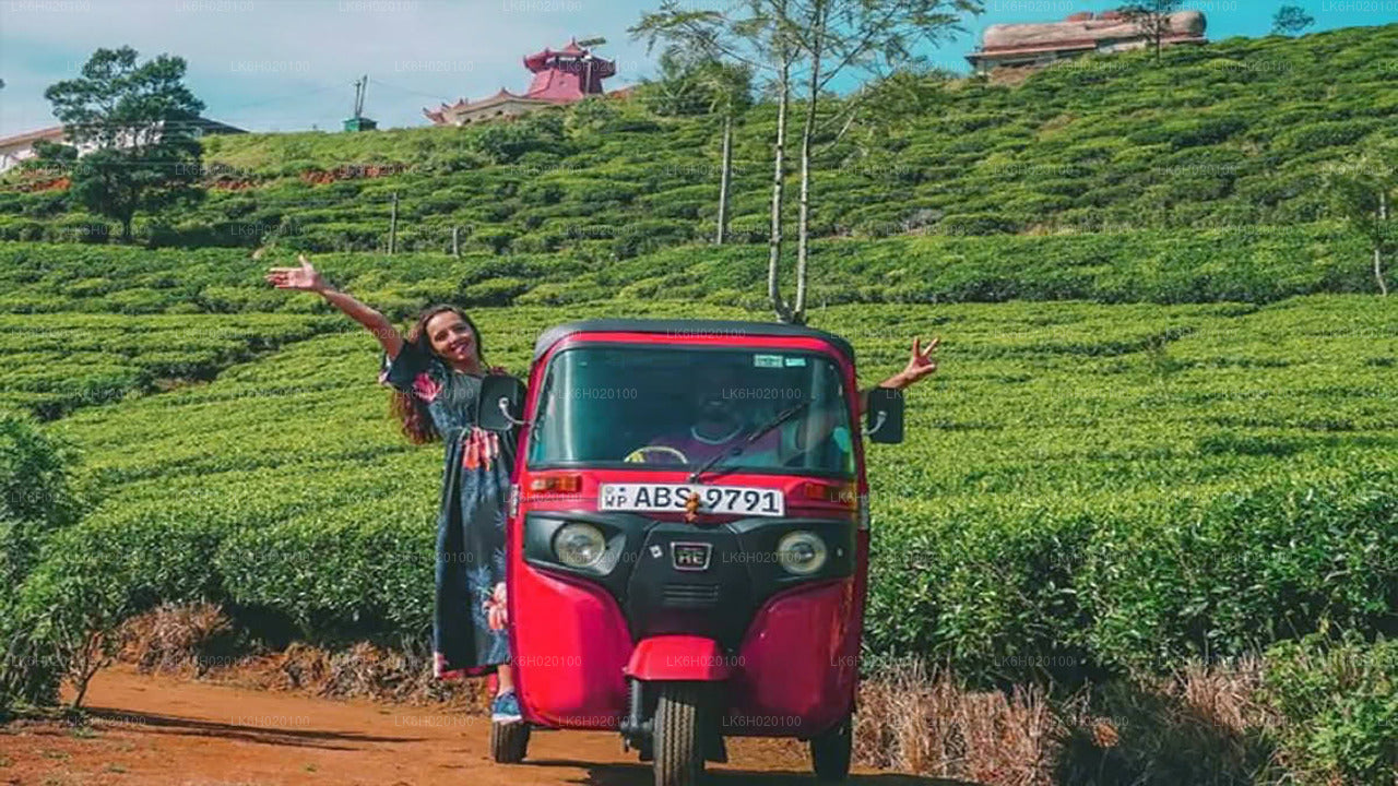 Tuk-Tuk-Safari in Kandy City