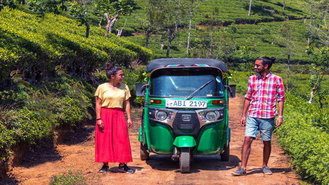 Nuwara Eliya Tuk-Tuk-Abenteuer