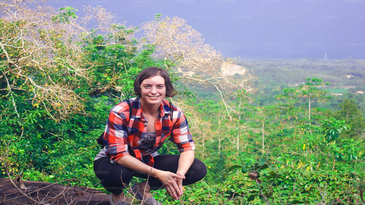 Klettern im Wald vom Mount Lavinia