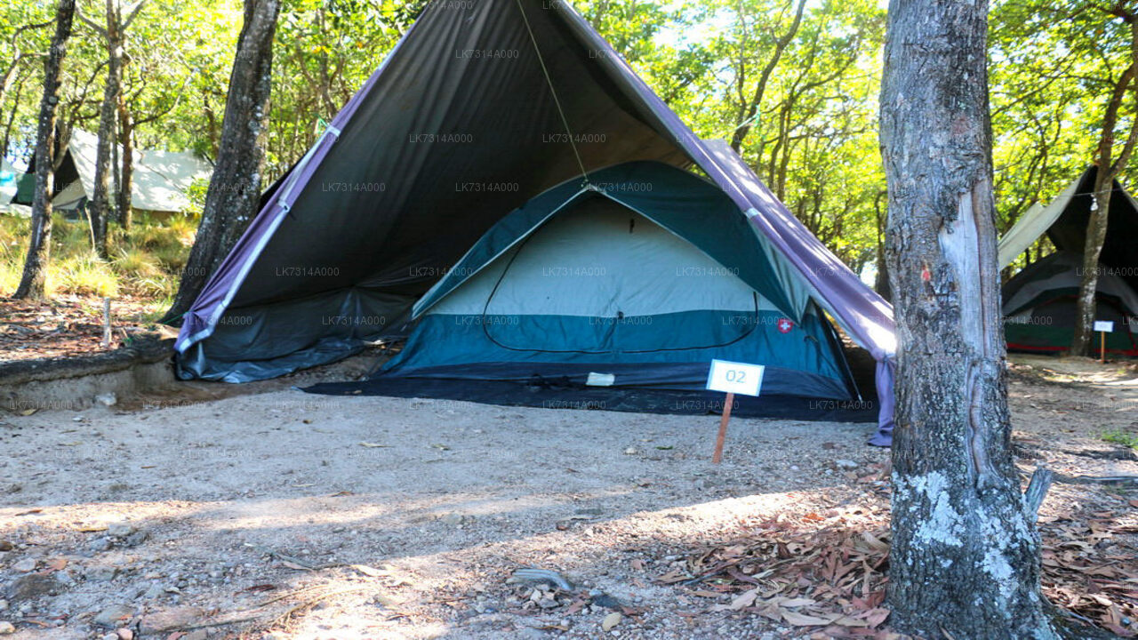Camping im Yala-Nationalpark