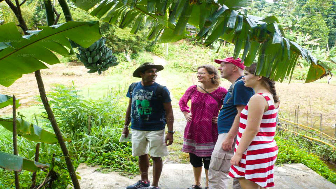 Landwanderung von Kandy aus