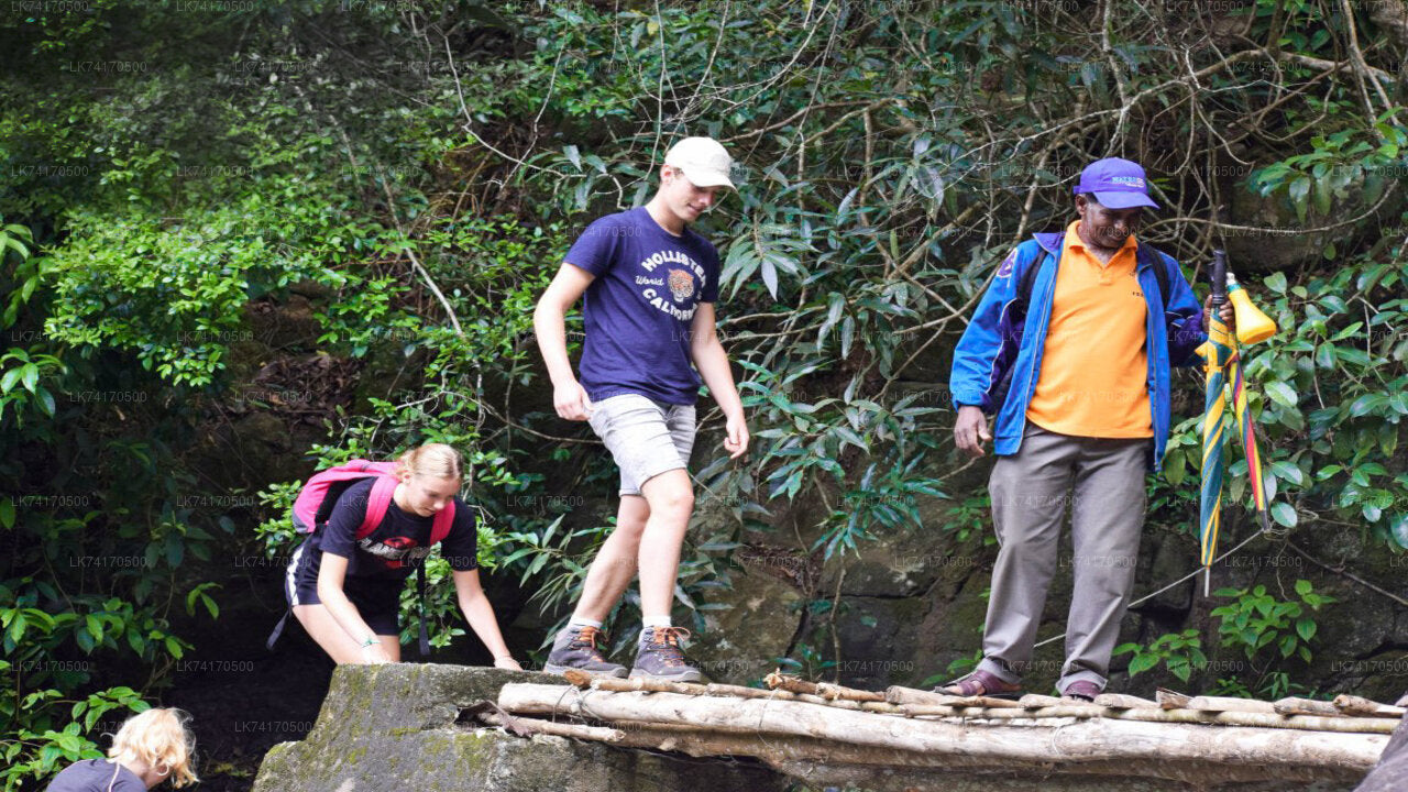 Trekking von Kandy nach Heeloya Village
