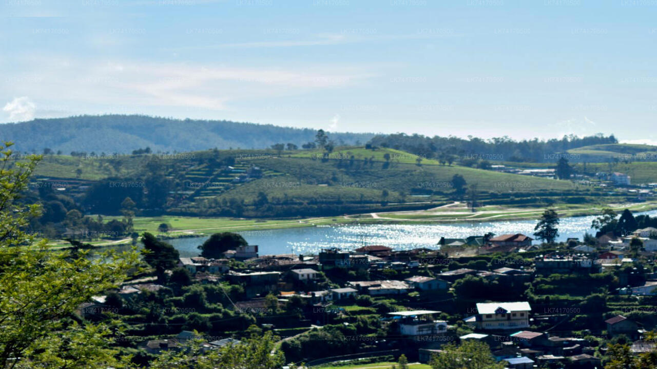 Trekking von Kandy nach Heeloya Village