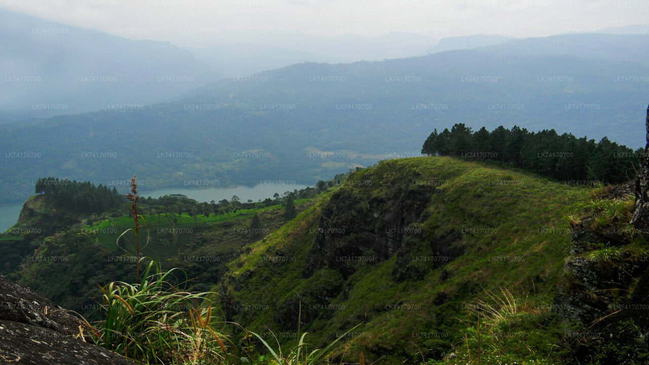 Wanderung von Kandy zum Peacock Hill