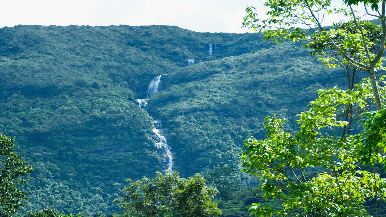 Wanderung zum Kota-Ganga-Wasserfall ab Kandy