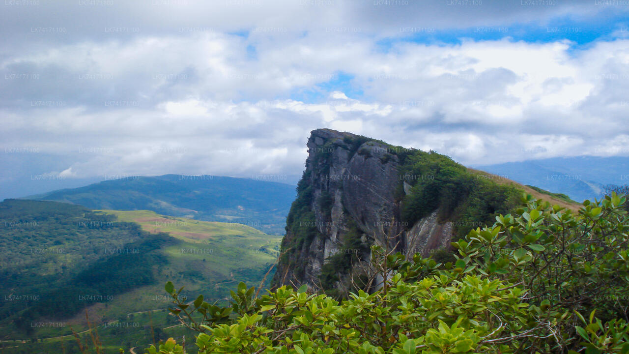 Trekking von Kandy nach Heeloya Village