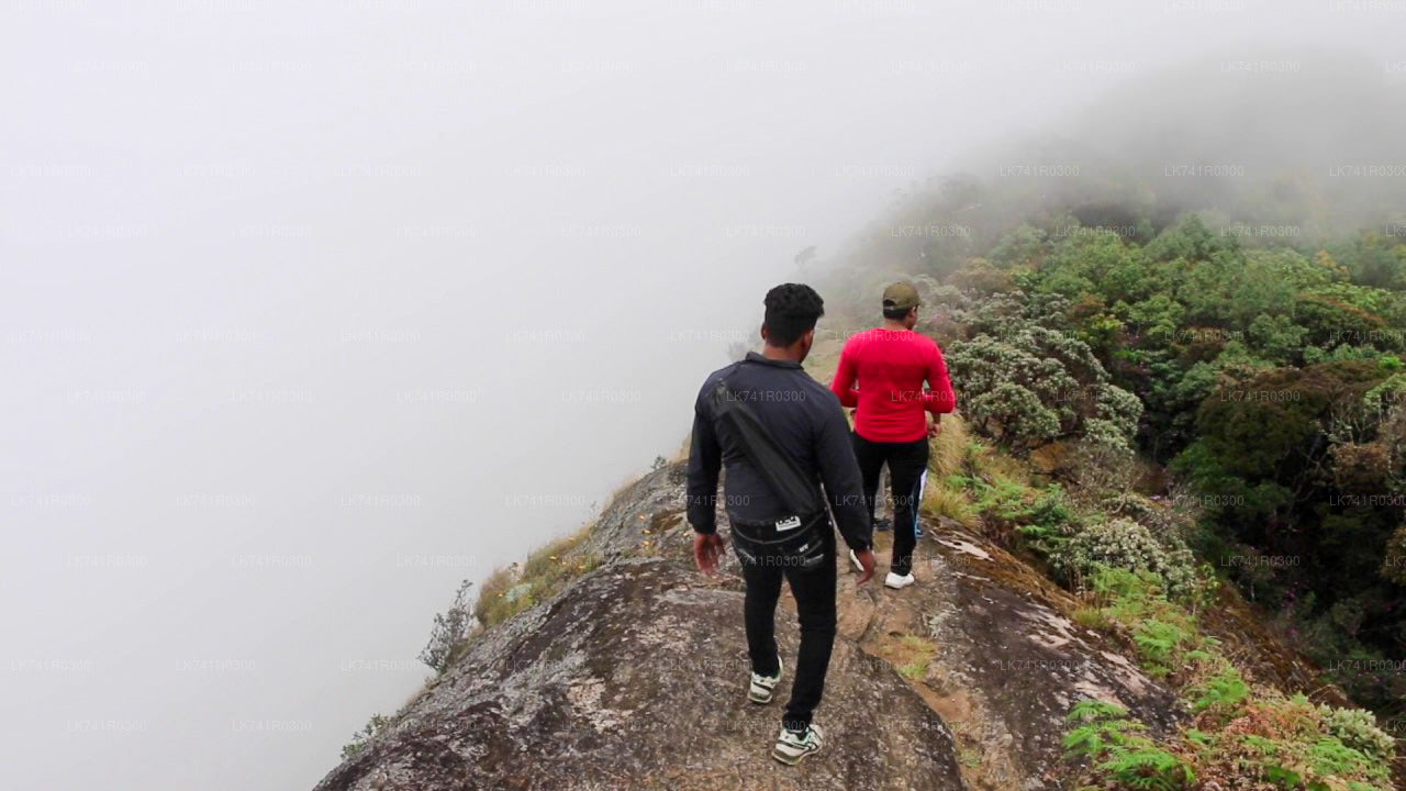 Wandern Sie über die Horton Plains zum Kirigalpoththa-Gebirge