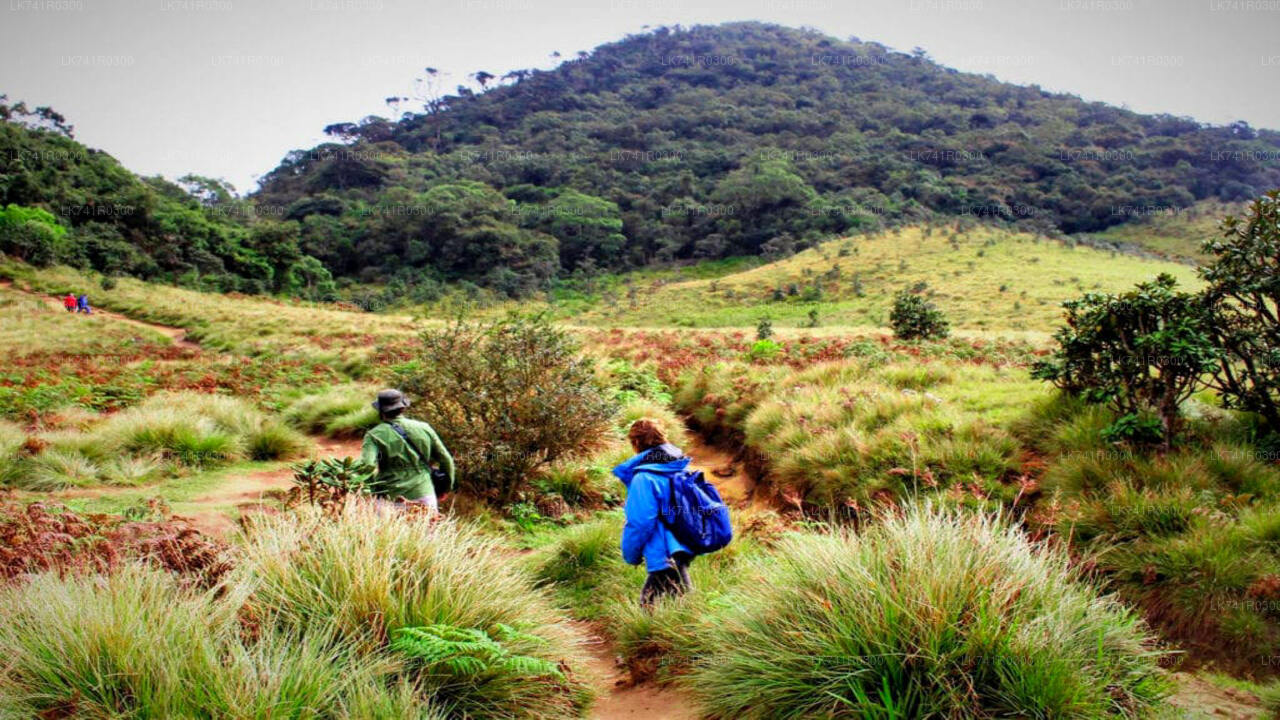 Wandern Sie über die Horton Plains zum Kirigalpoththa-Gebirge