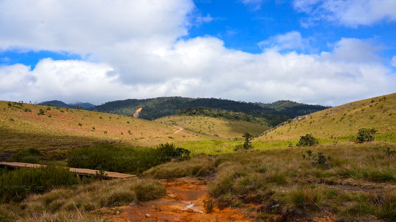 Wandern Sie über die Horton Plains zum Kirigalpoththa-Gebirge