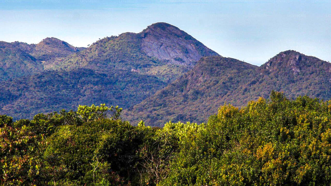 Wandern Sie über die Horton Plains zum Kirigalpoththa-Gebirge