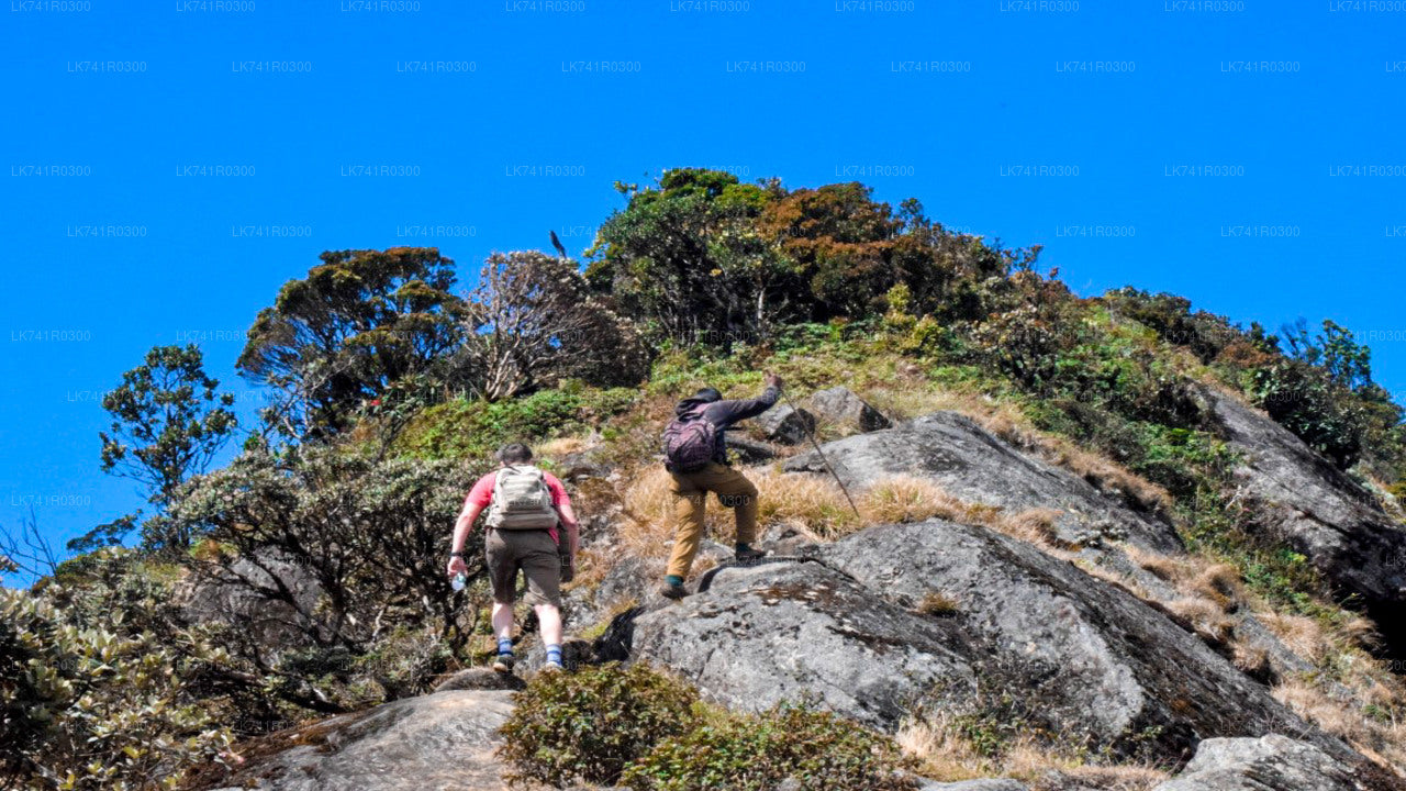 Wandern Sie über die Horton Plains zum Kirigalpoththa-Gebirge