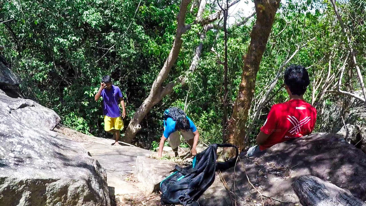 Wanderung zum Danigala Circular Rock von Polonnaruwa aus