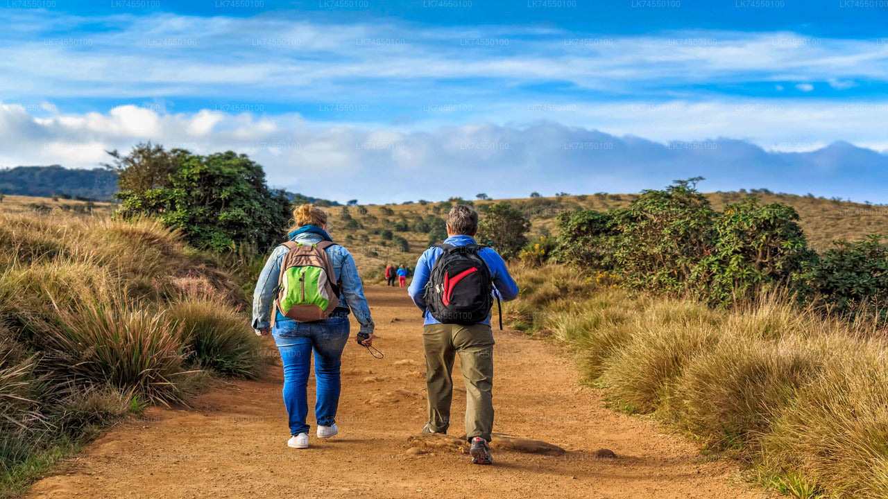 Wanderung zur Horton Plains Border über Bahngleise von Pattipola