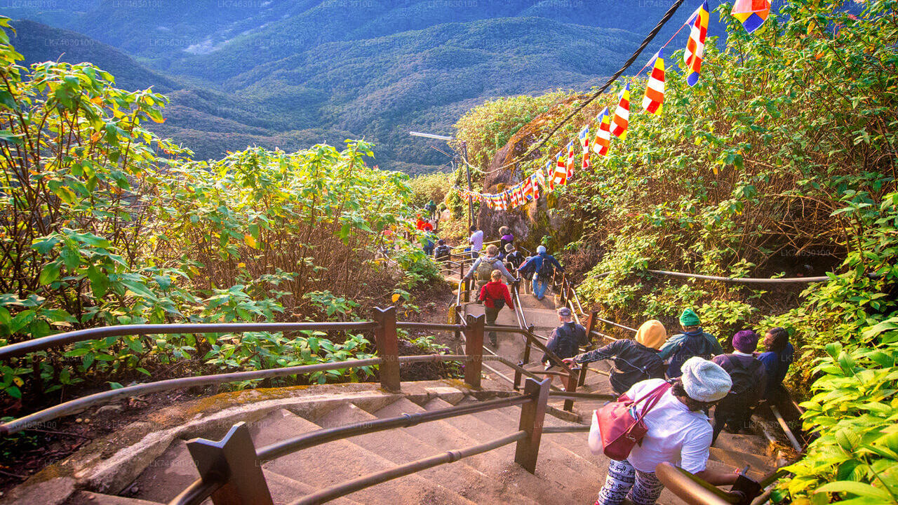 Nachtwanderung zum Adam's Peak von Nallathanniya