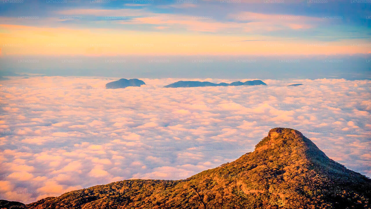 Außerhalb der Saison Wanderung zum Adam's Peak von Nallathanniya aus