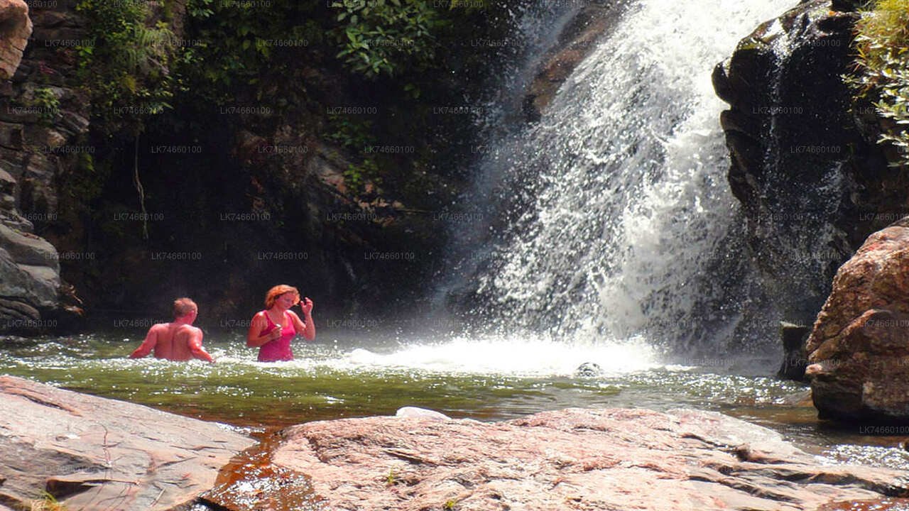 Wanderung zu Wasserfällen auf dem Land ab Mount Lavinia