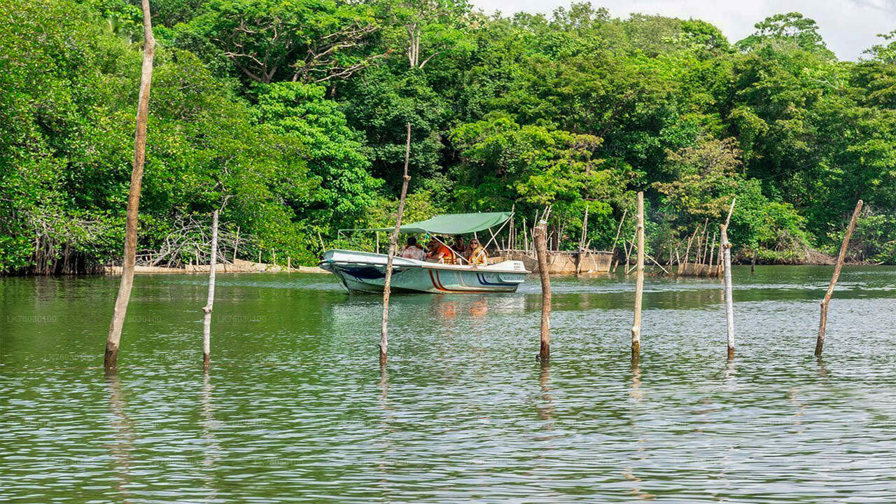 Bootssafari auf dem Madu-Fluss