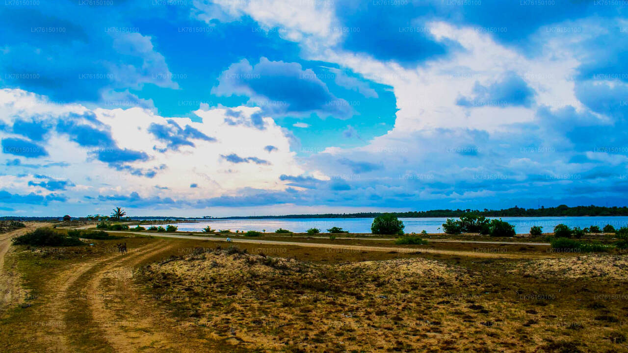 Lagunen-Bootstour ab Kalpitiya