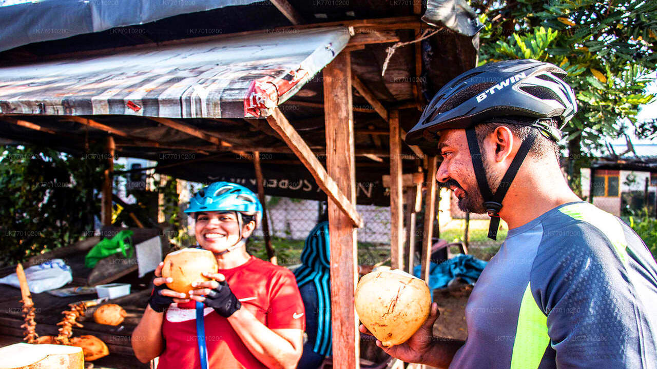 Niederländische Fußspuren-Radtour ab Colombo