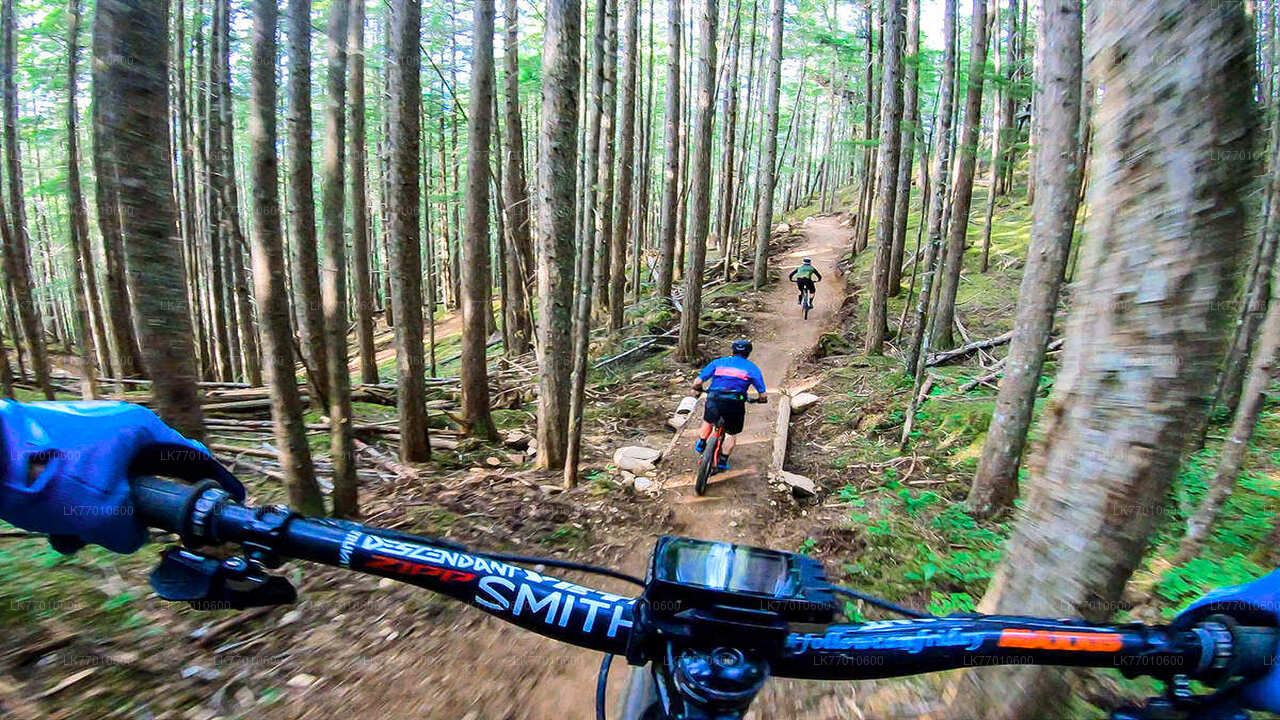 Urban Jungle Trail-Radtour ab Colombo