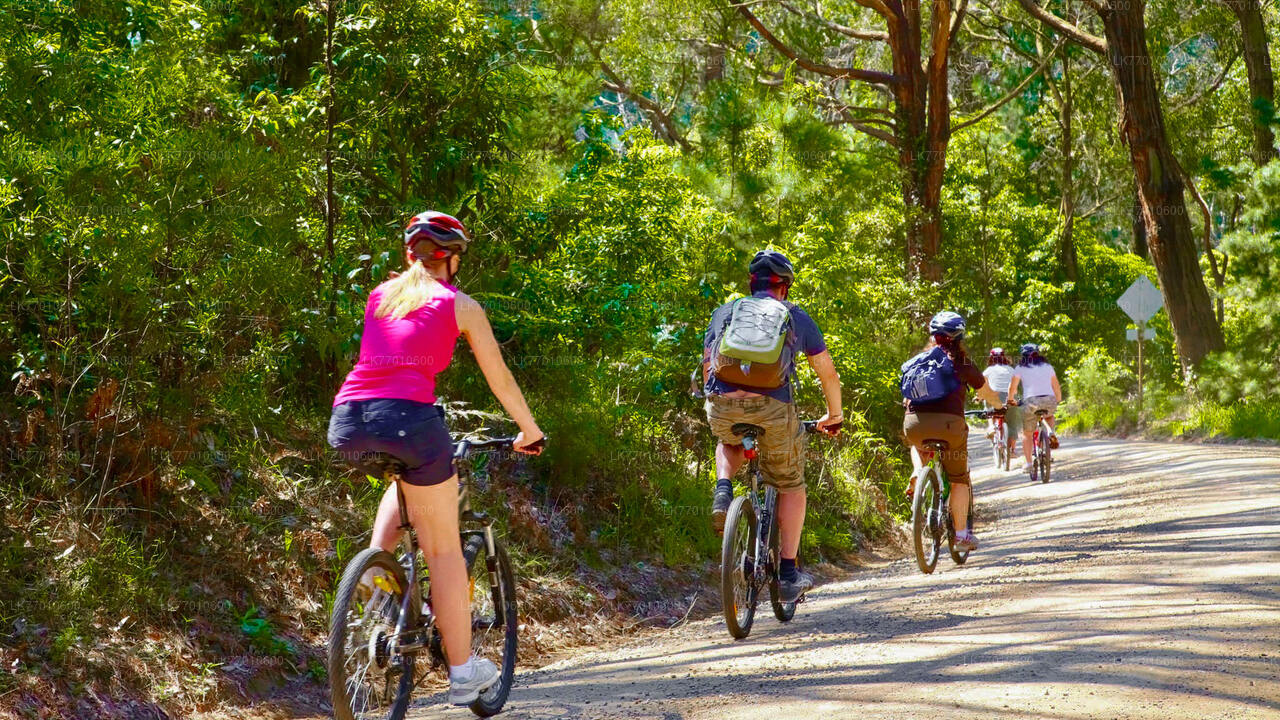 Urban Jungle Trail-Radtour ab Colombo