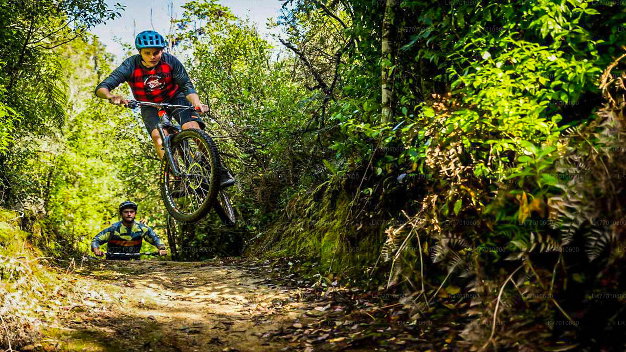 Urban Jungle Trail-Radtour ab Colombo