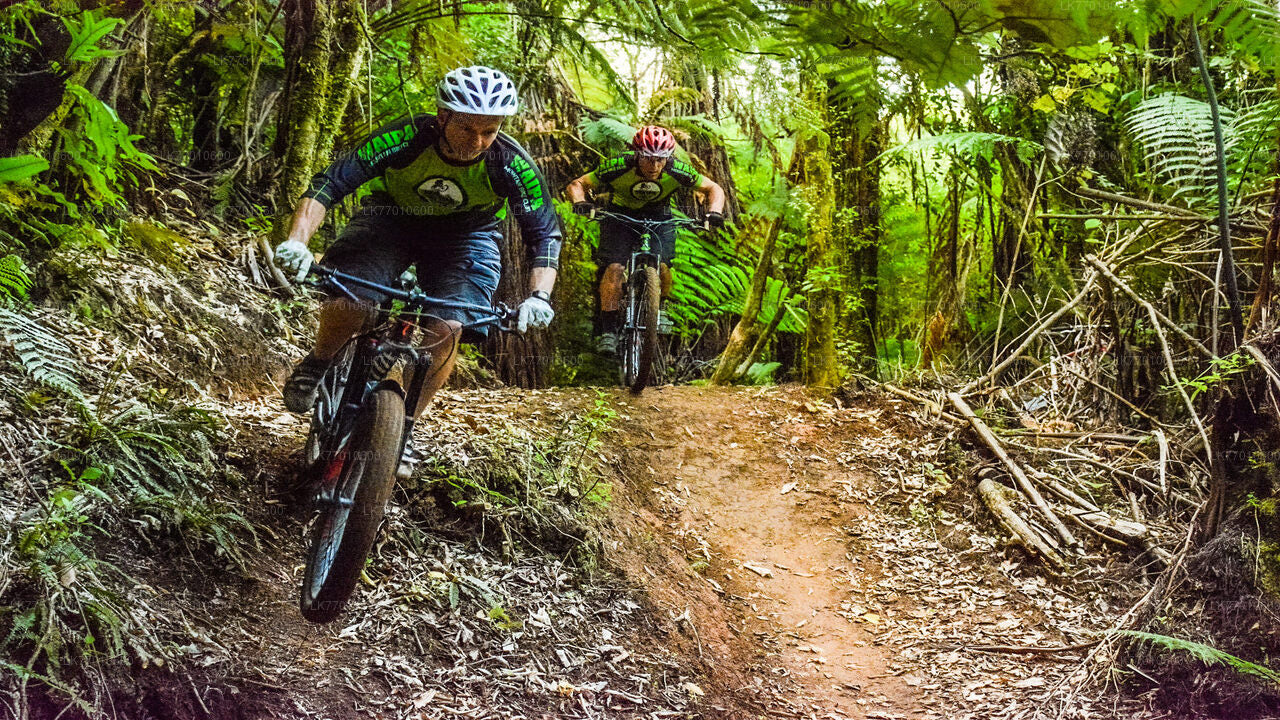 Urban Jungle Trail-Radtour ab Colombo