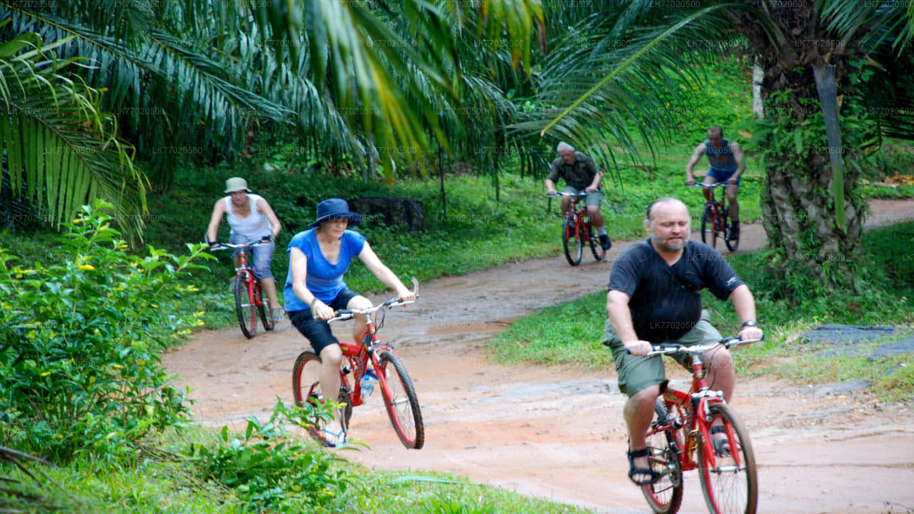 3-Temple Loop-Radtour ab Kandy
