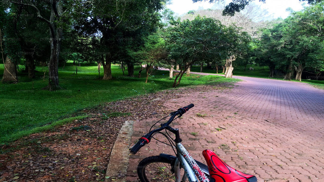 Radfahren von Anuradhapura