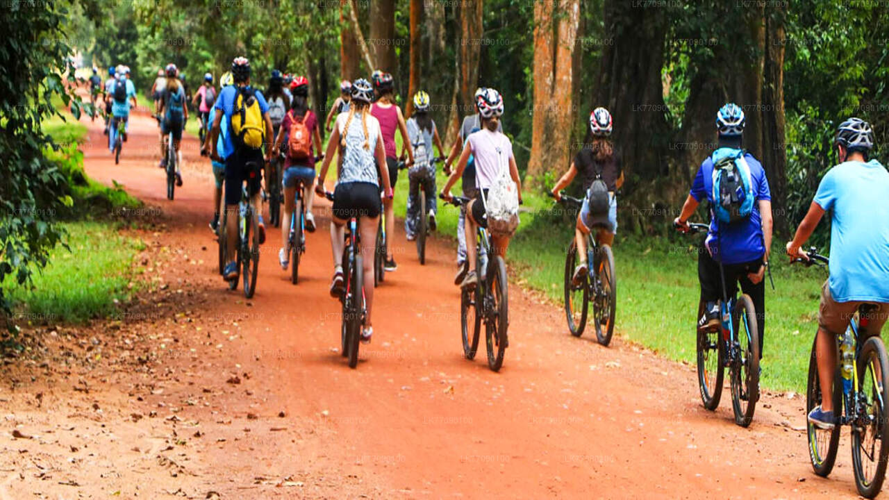 Radtour zum Höhlentempel ab Ella