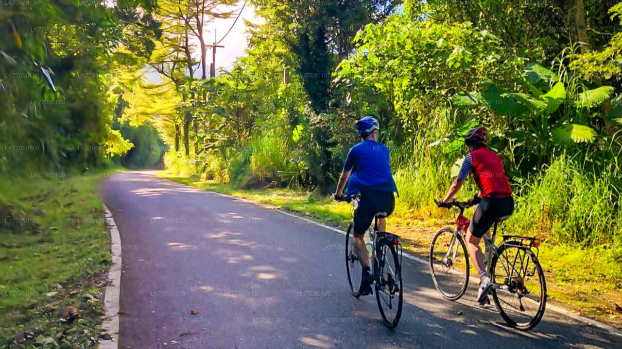 Radtour zum Höhlentempel ab Ella