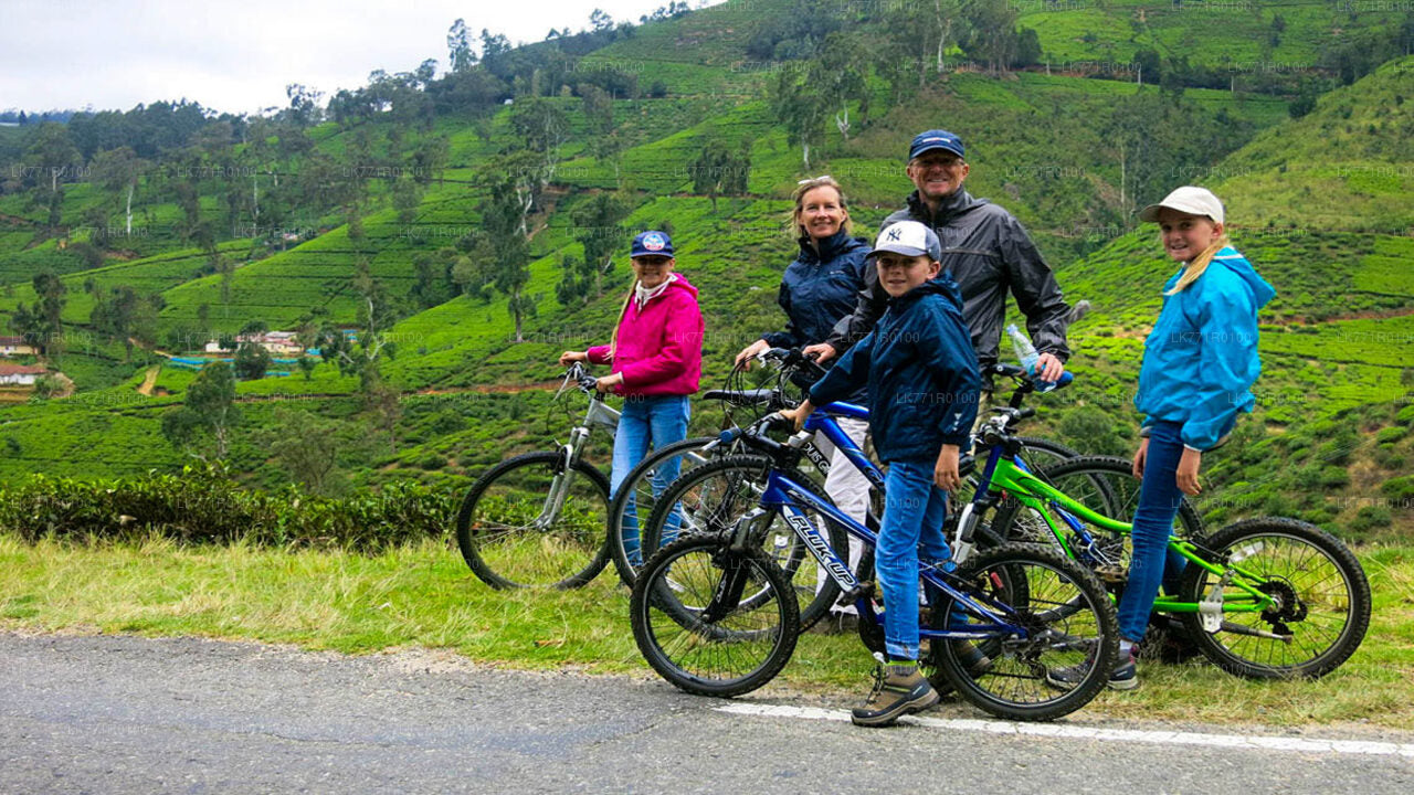 Radfahren von Nuwara Eliya