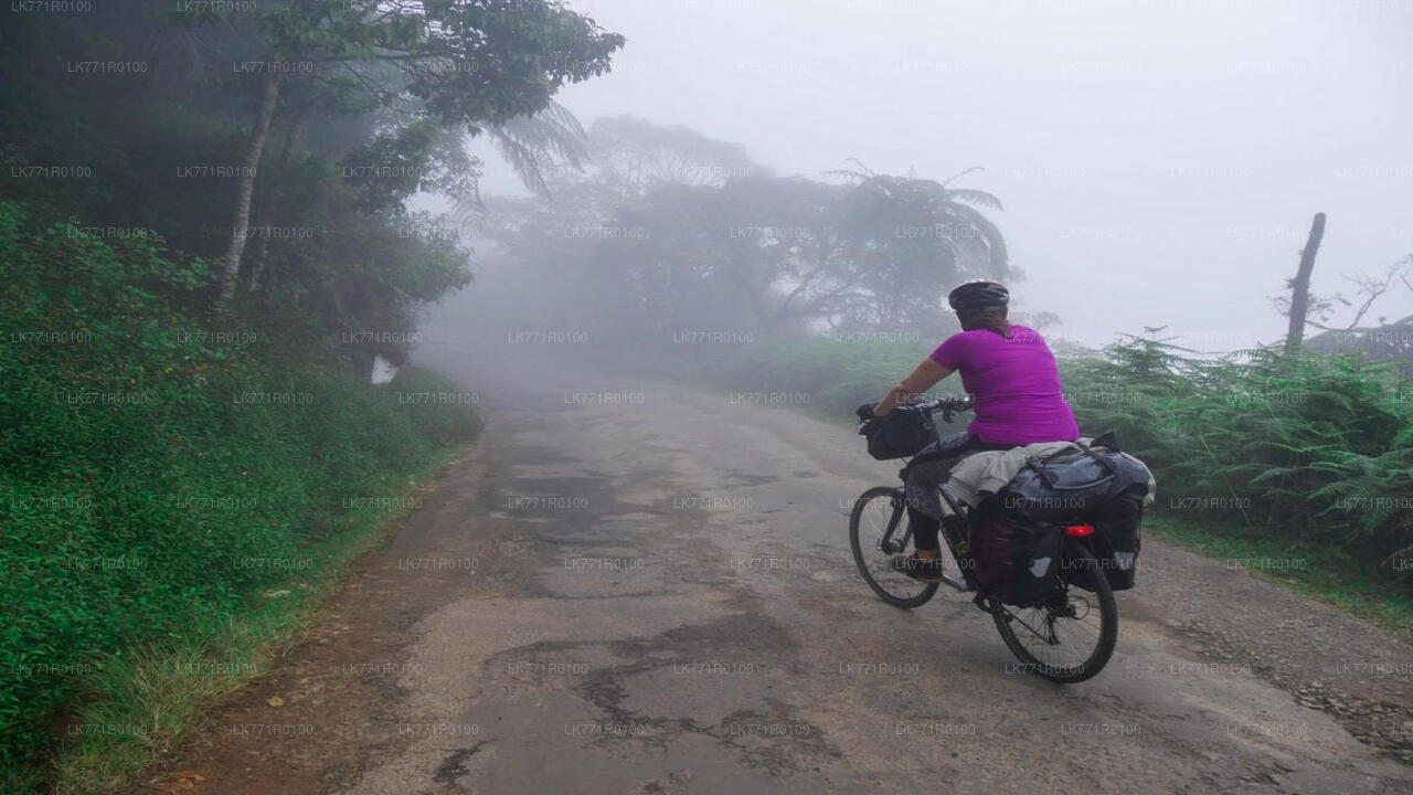 Radfahren von Nuwara Eliya