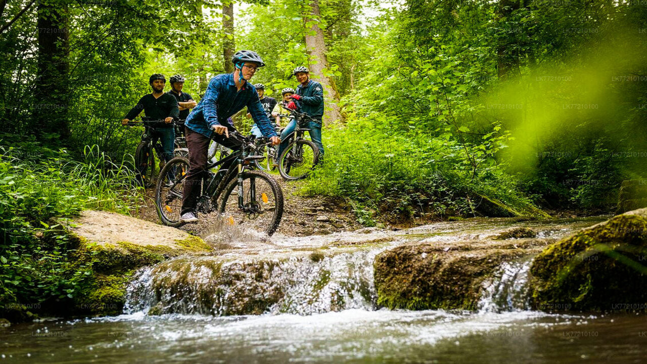 Mulkirigala-Radtour ab Tangalle