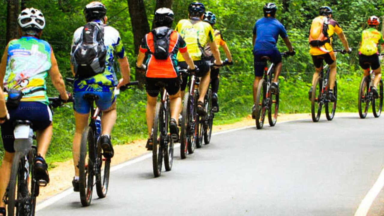 Mulkirigala-Radtour ab Tangalle