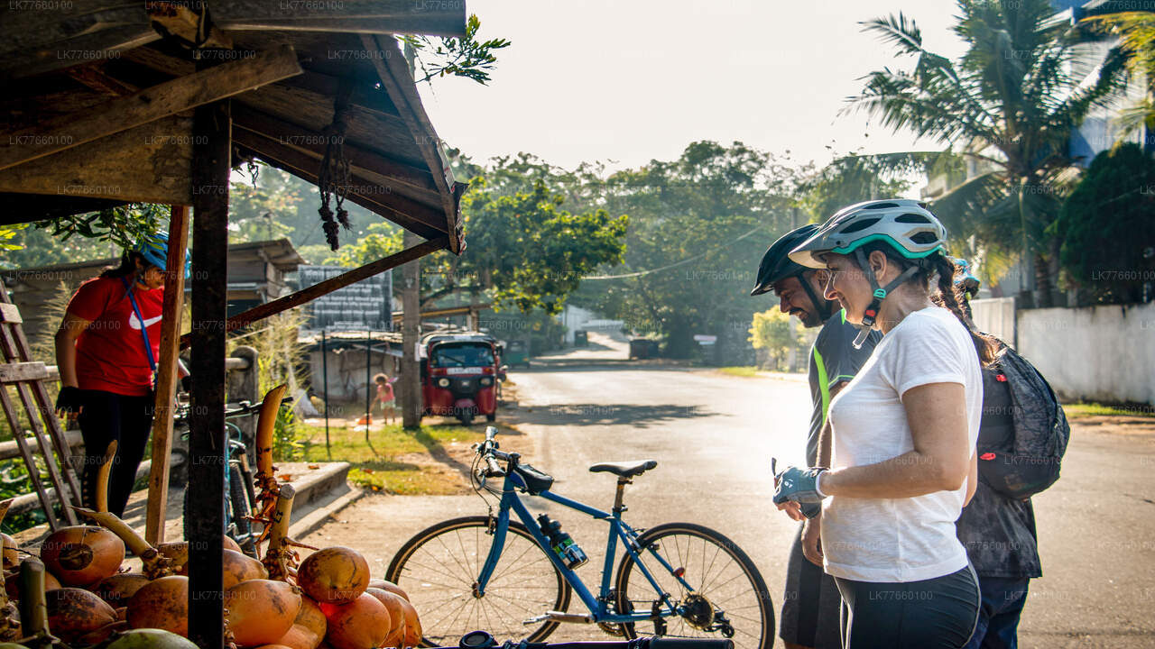 Kingdom Trail-Radtour ab Mount Lavinia